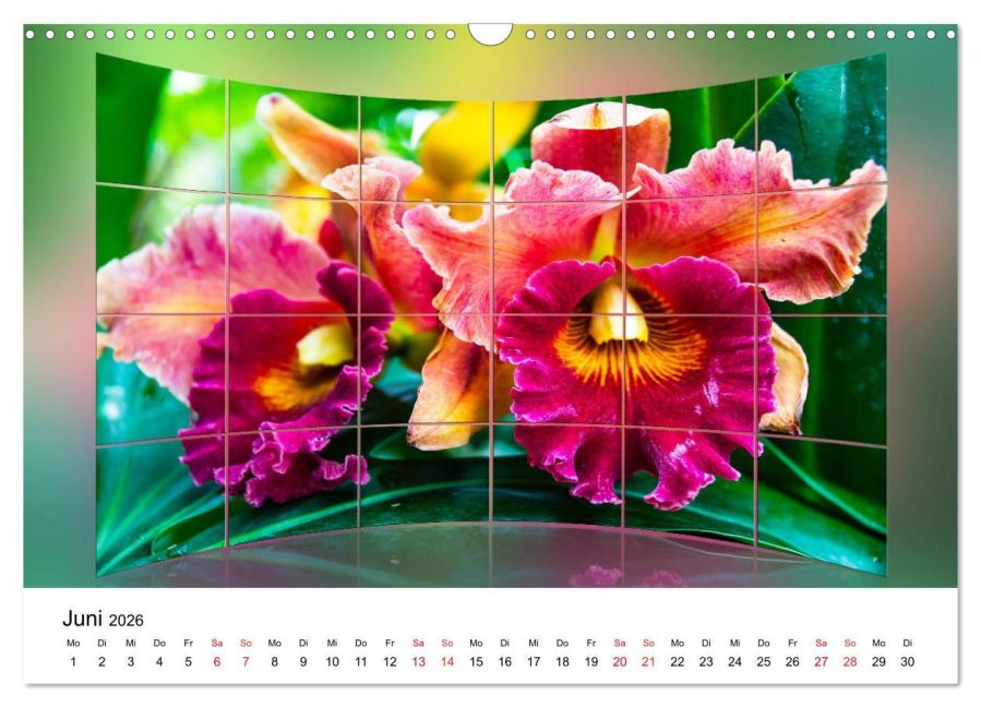 additionalImage11