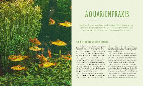 additionalImage5