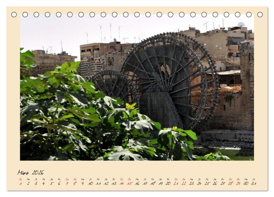 additionalImage8