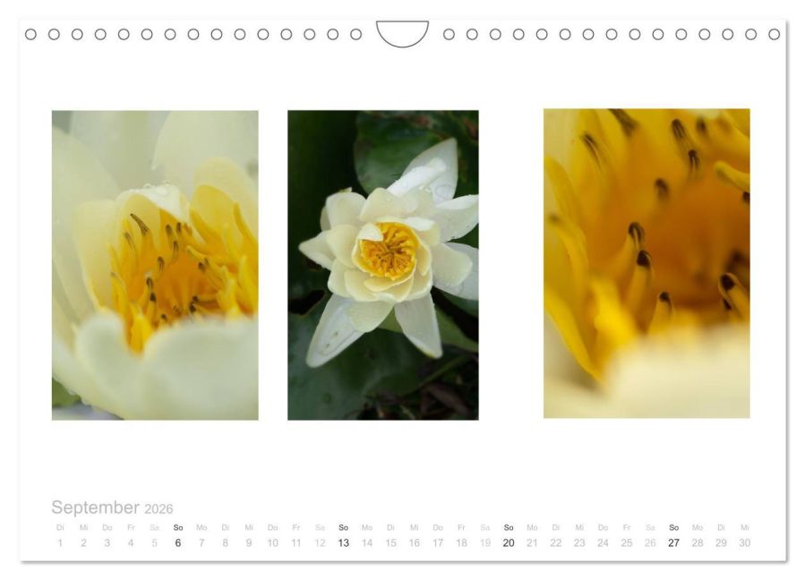 additionalImage14