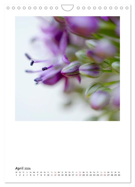 additionalImage9