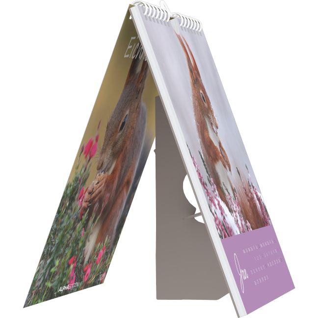 additionalImage4