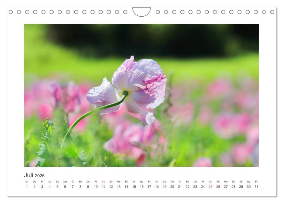 additionalImage12