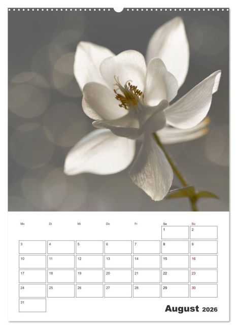 additionalImage13