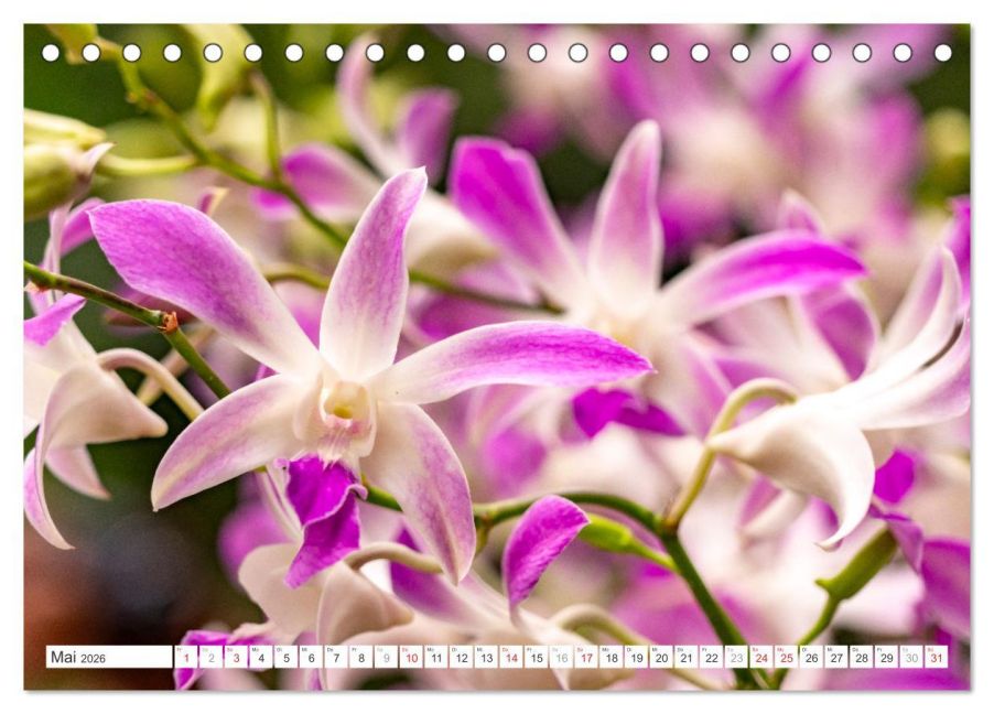 additionalImage10