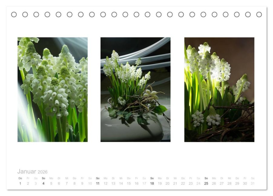 additionalImage6