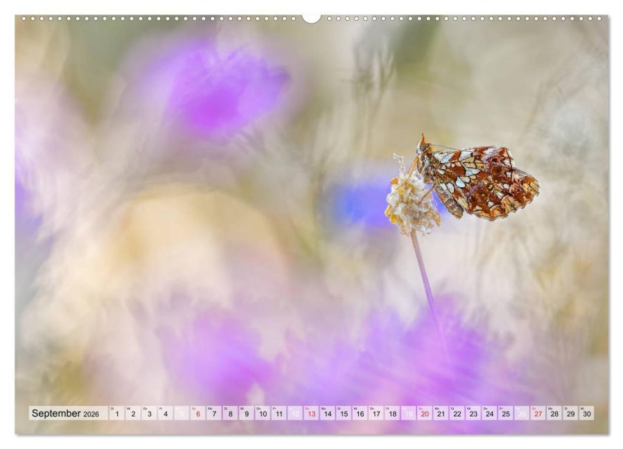 additionalImage14