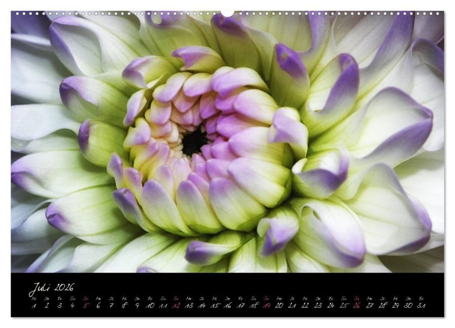 additionalImage12