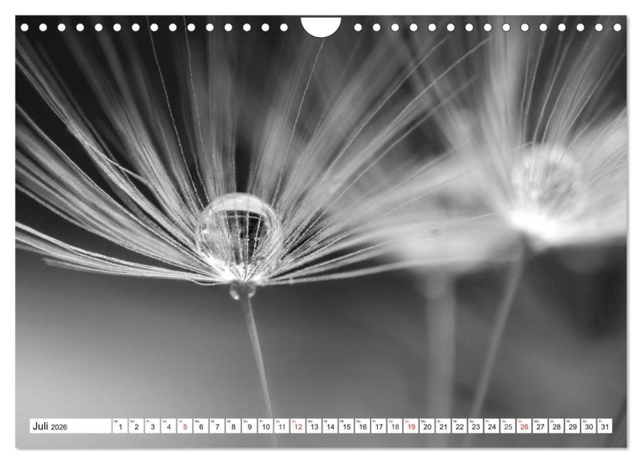 additionalImage12