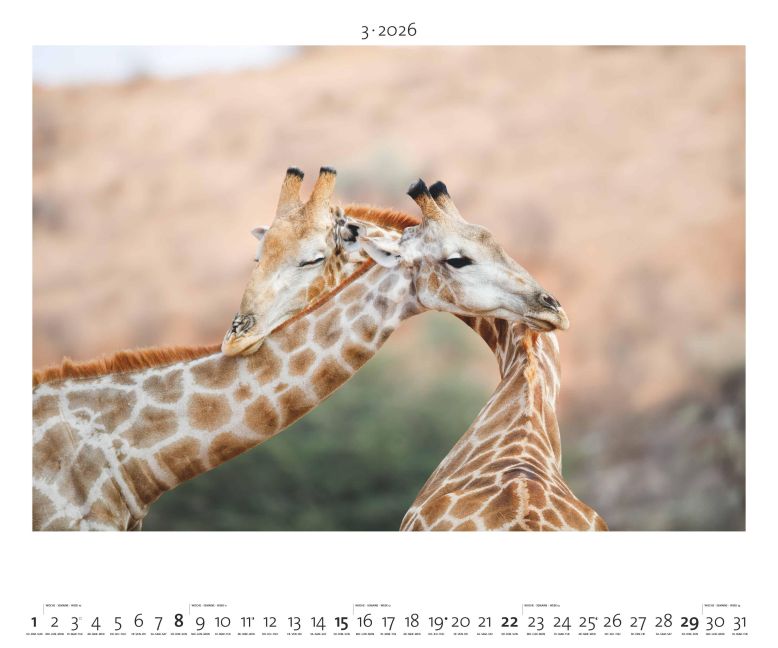 additionalImage3