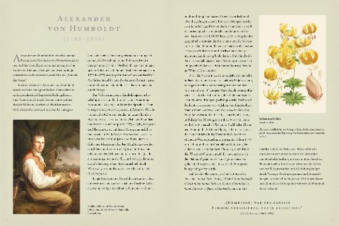 additionalImage3