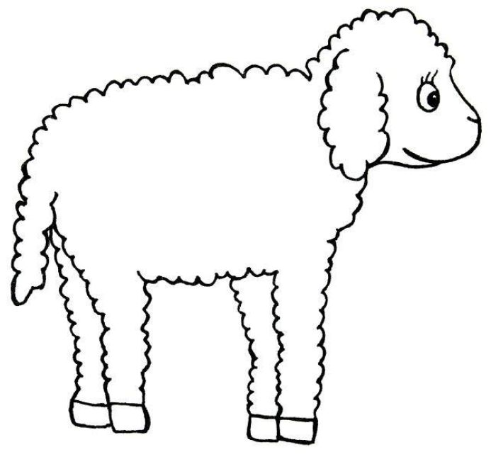 additionalImage8