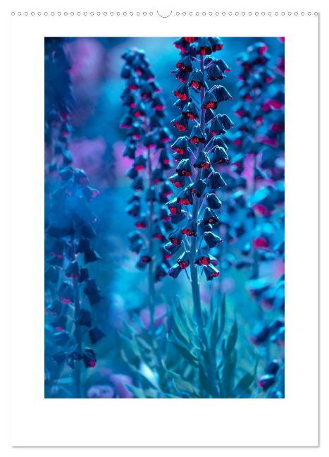 additionalImage10