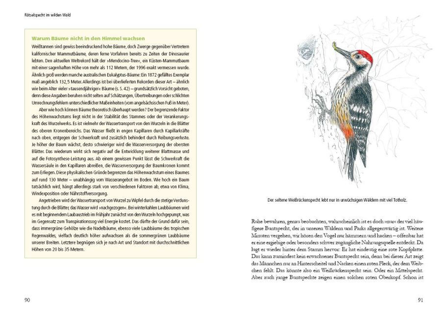additionalImage3