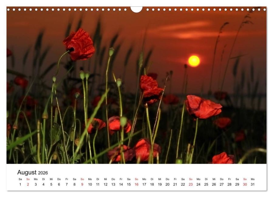 additionalImage13
