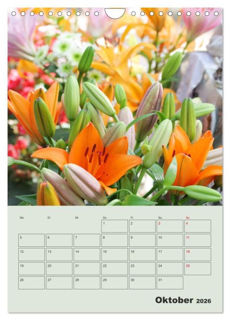 additionalImage2