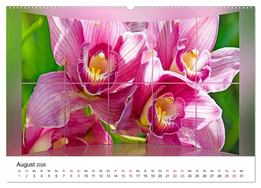 additionalImage13