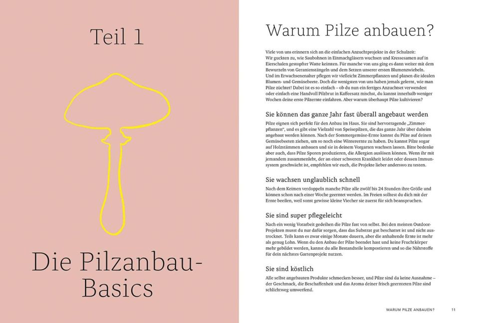 additionalImage2