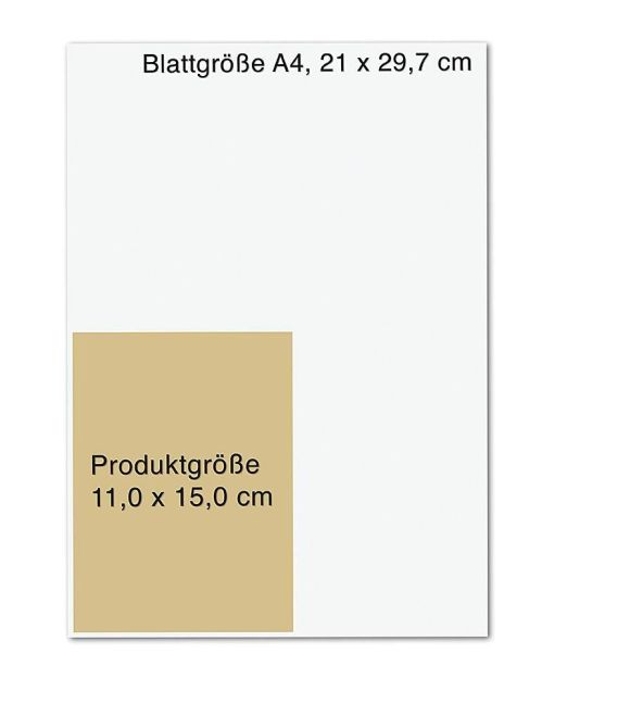 additionalImage8