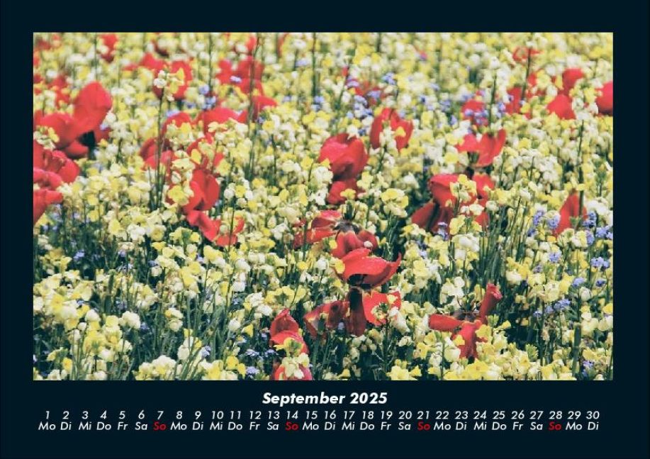 additionalImage1