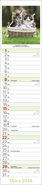 additionalImage3