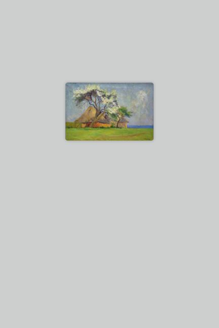 additionalImage3