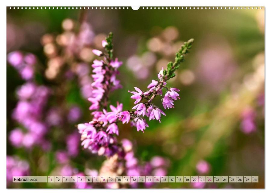 additionalImage7
