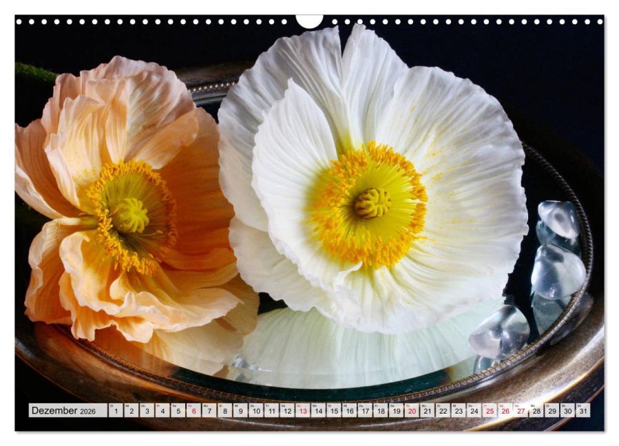 additionalImage4