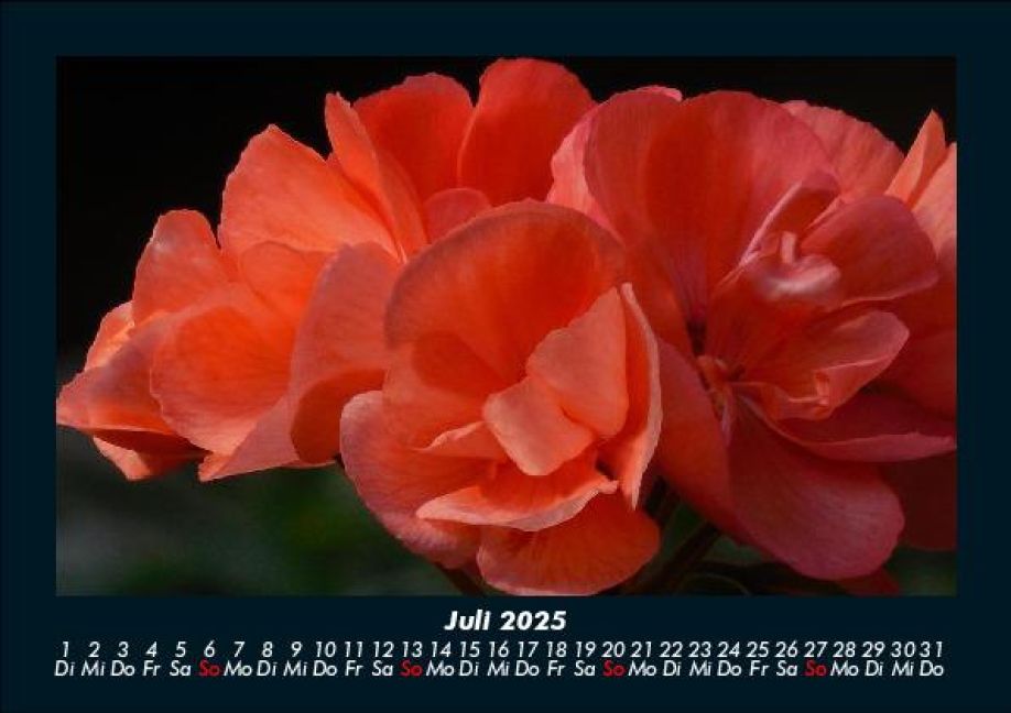 additionalImage11