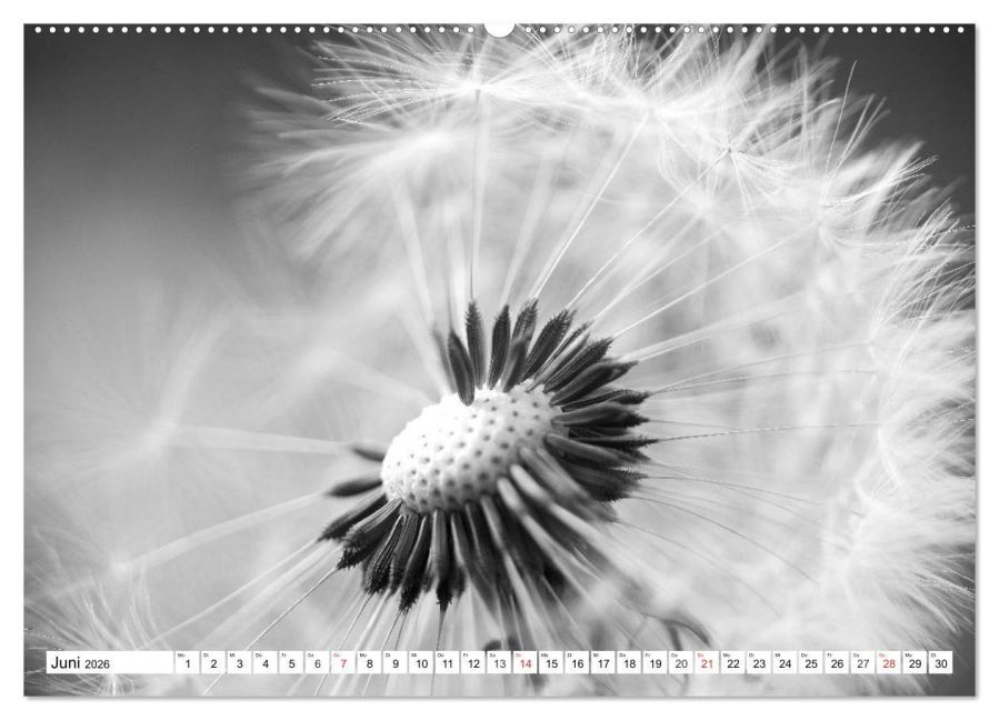 additionalImage10