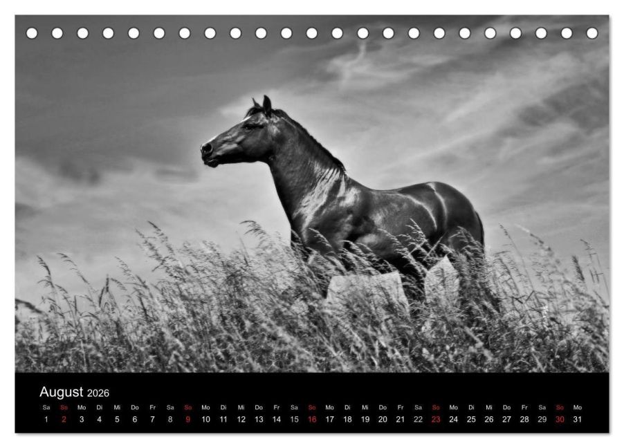 additionalImage13