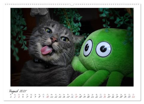 additionalImage13