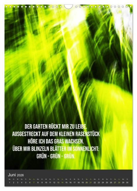 additionalImage11