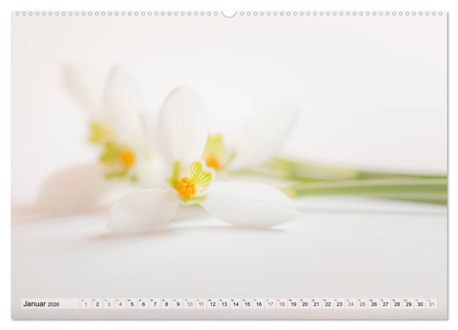 additionalImage6