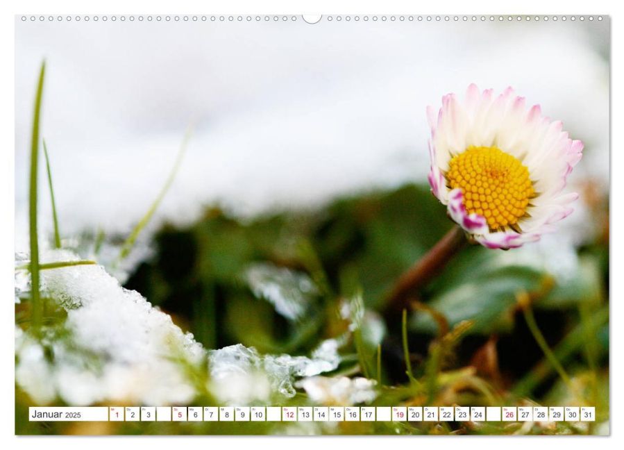 additionalImage6