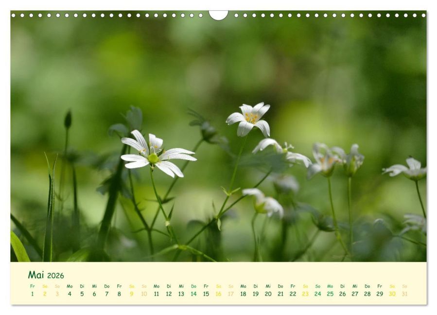 additionalImage10