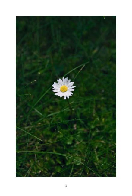 additionalImage2