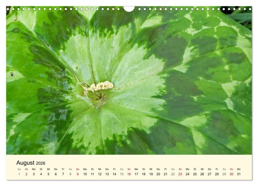 additionalImage13