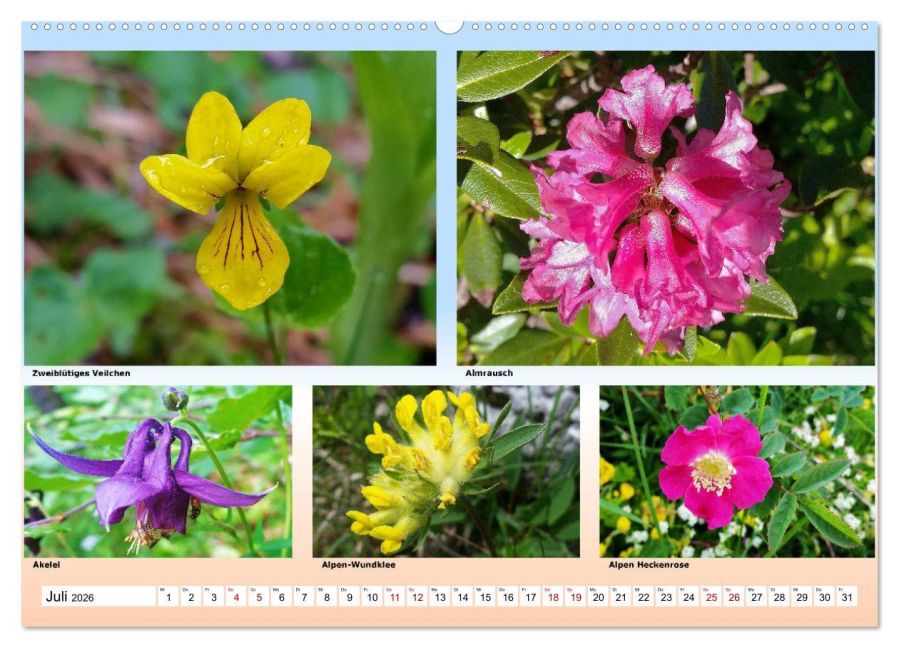 additionalImage11