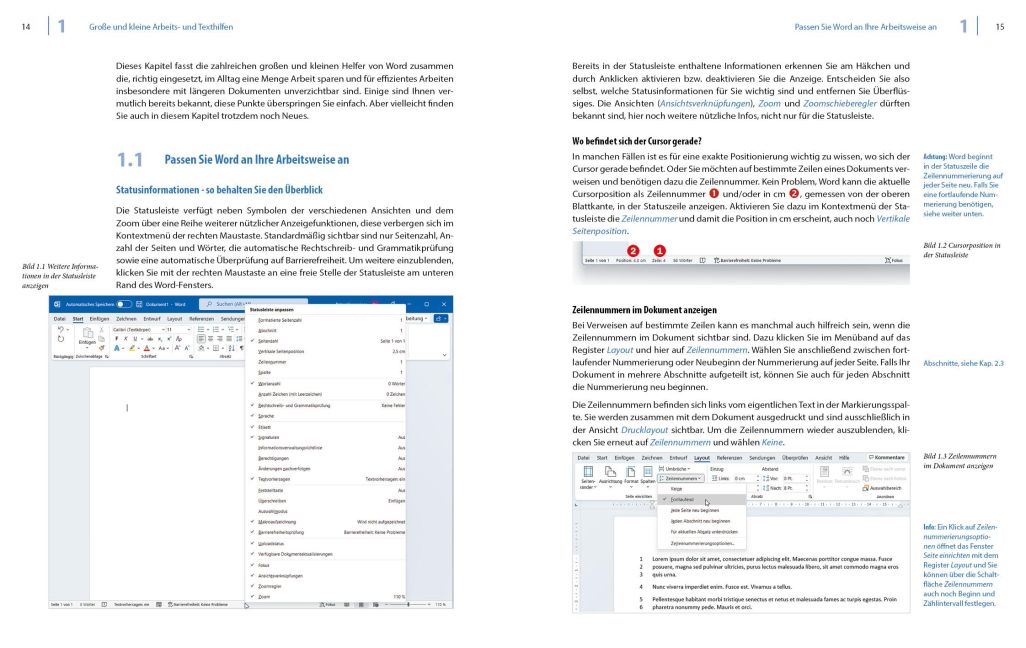 additionalImage1