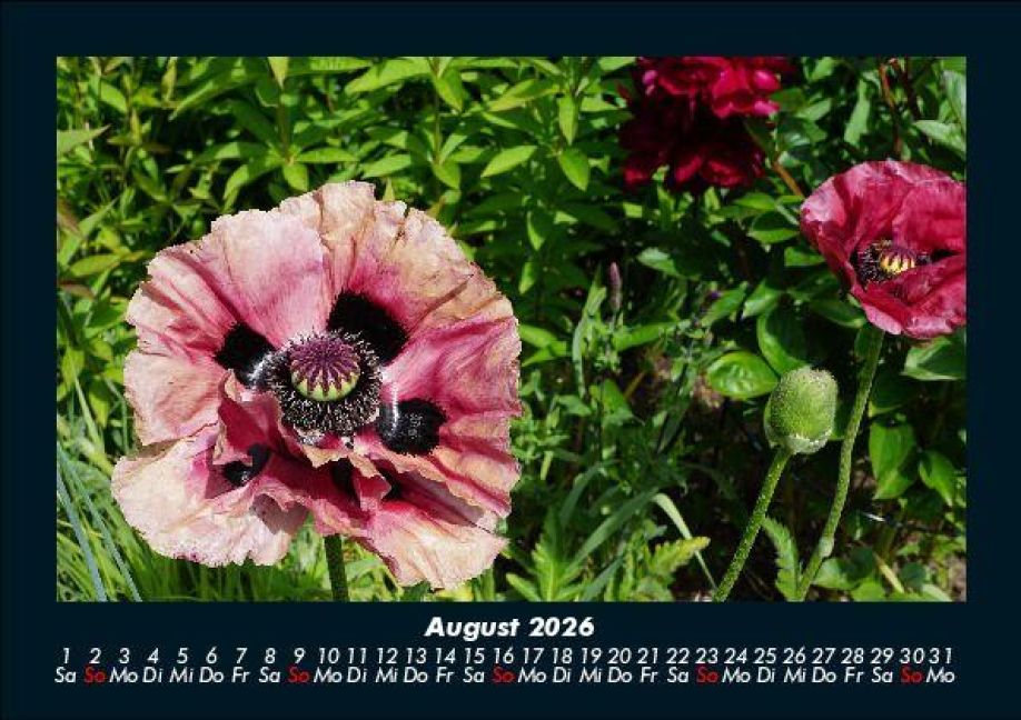 additionalImage12