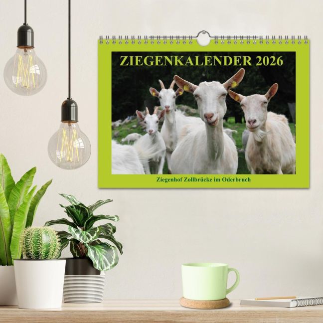 additionalImage1