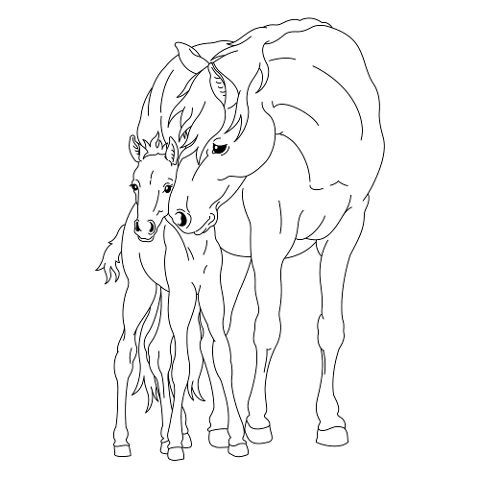 additionalImage4