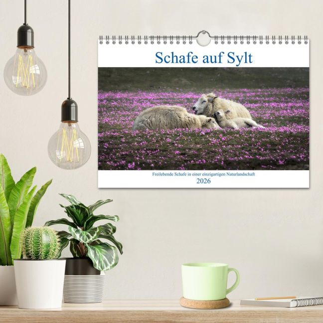 additionalImage1