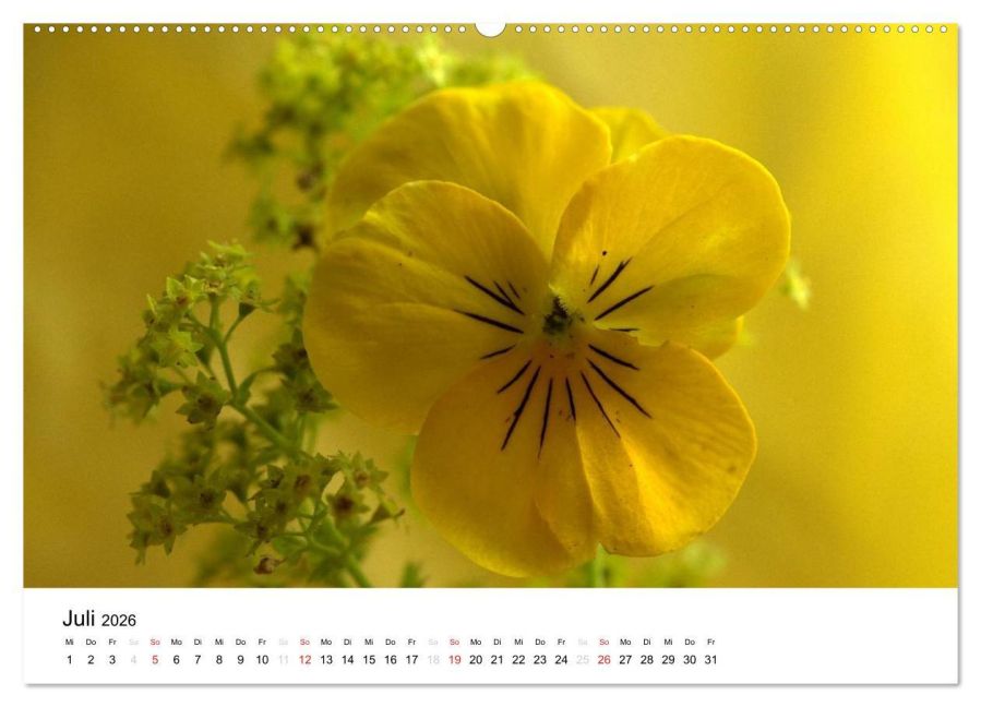 additionalImage12