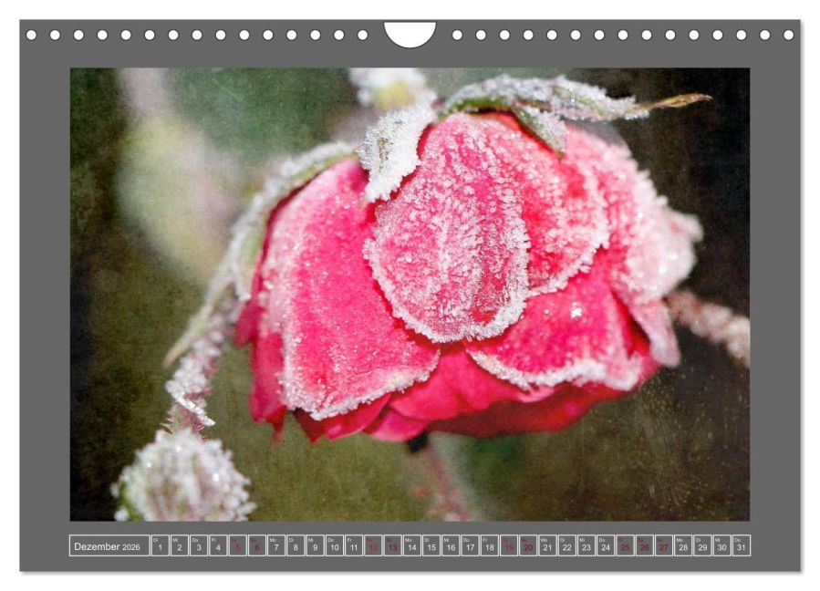 additionalImage4