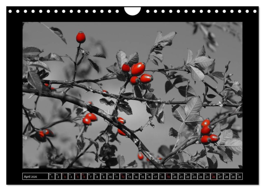 additionalImage9