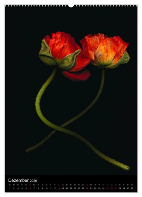additionalImage3