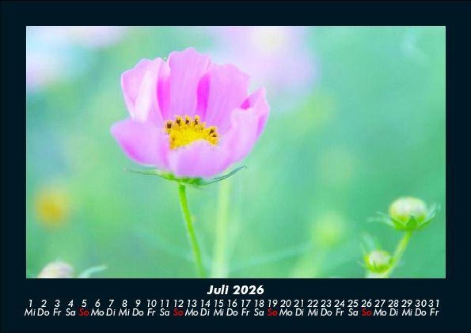 additionalImage11
