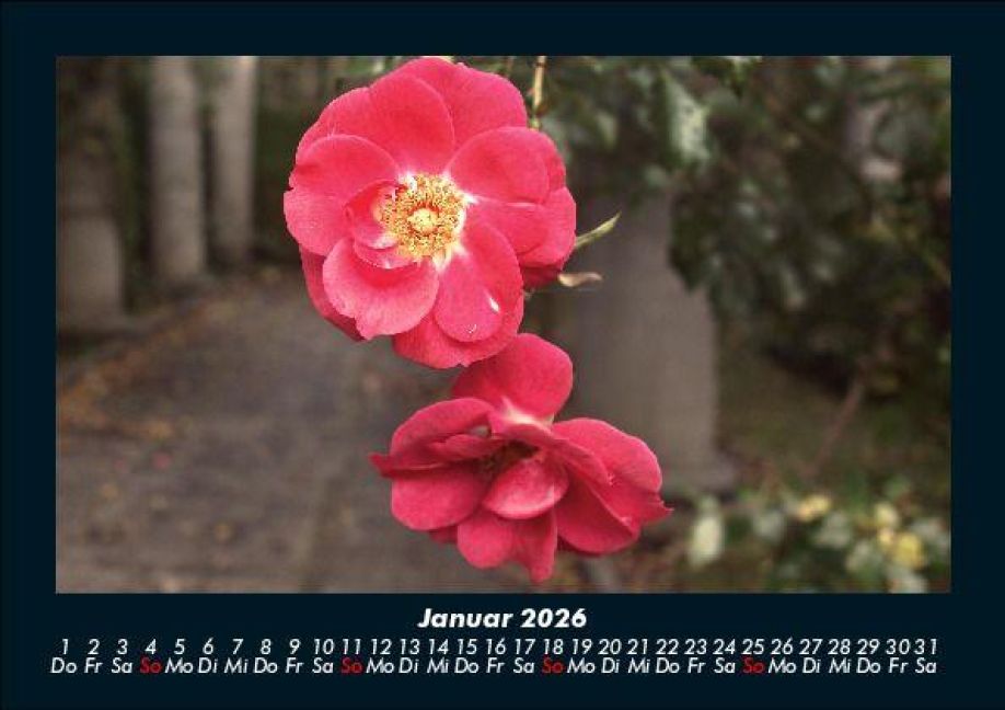 additionalImage5